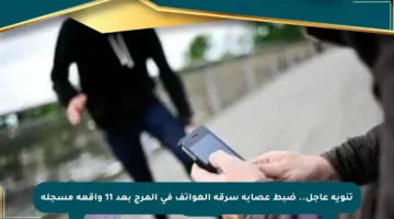 تنويه عاجل.. ضبط عصابة سرقة الهواتف في المرج بعد 11 واقعة مسجلة